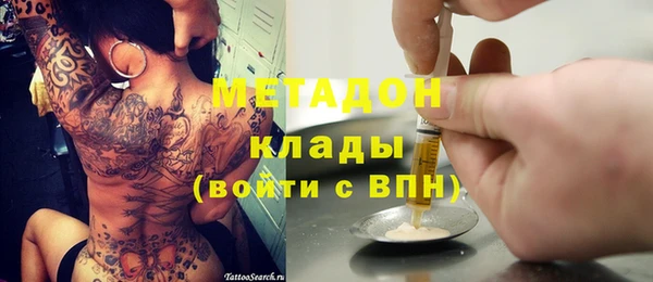 прущие грибы Арсеньев