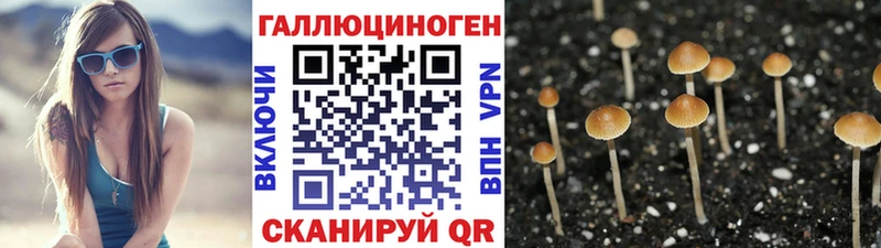 mega ТОР  цена наркотик  Новосиль  Псилоцибиновые грибы прущие грибы 